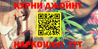 трава Кингисепп