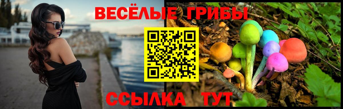 Псилоцибиновые грибы Cubensis  Вход с VPN  Коммунар  Галлюциногенные грибы прущие грибы 
